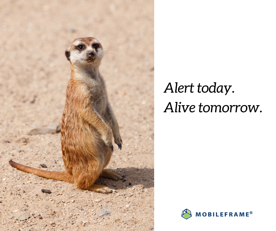 Workplace Health & Safety Meme